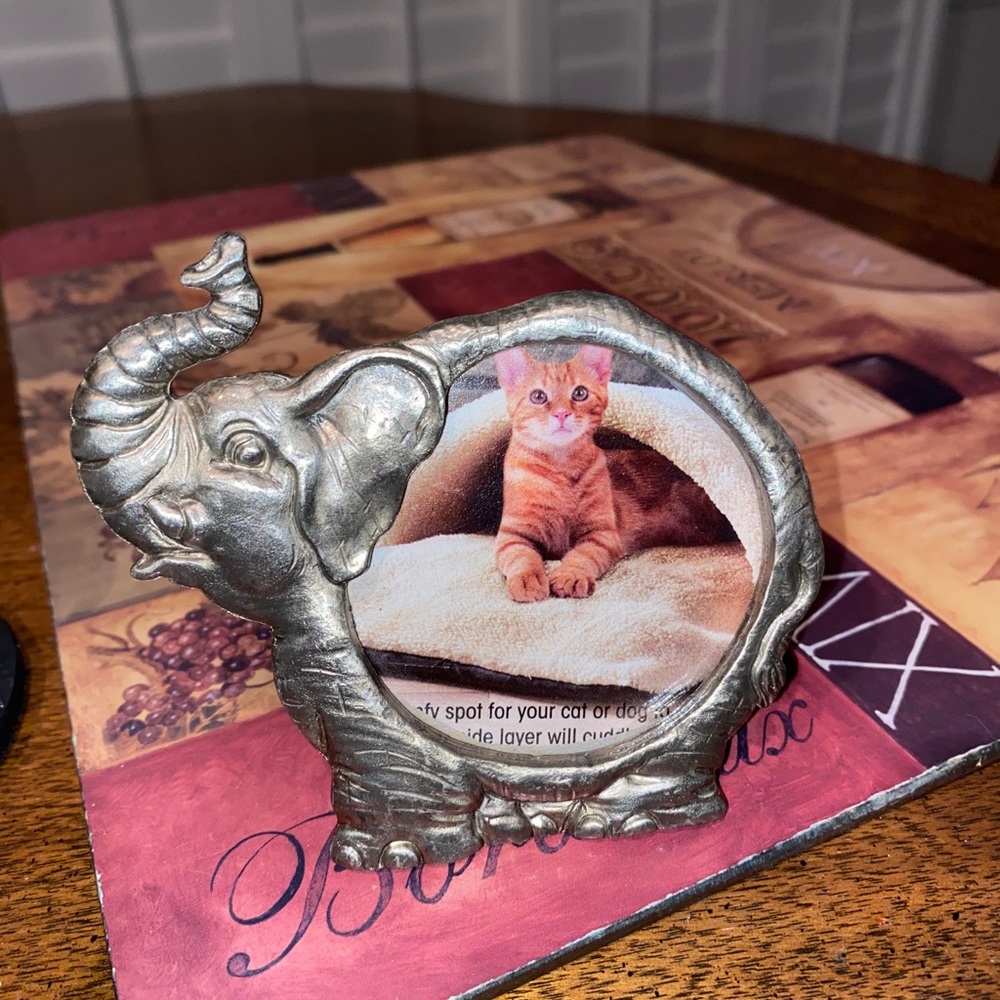 - Metal Elephant 🐘 frame 🖼